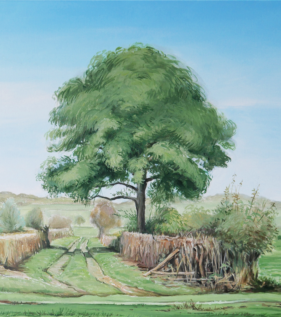 Bruno-Clognier-exposition-2023-3-vachères-paysage-moderne