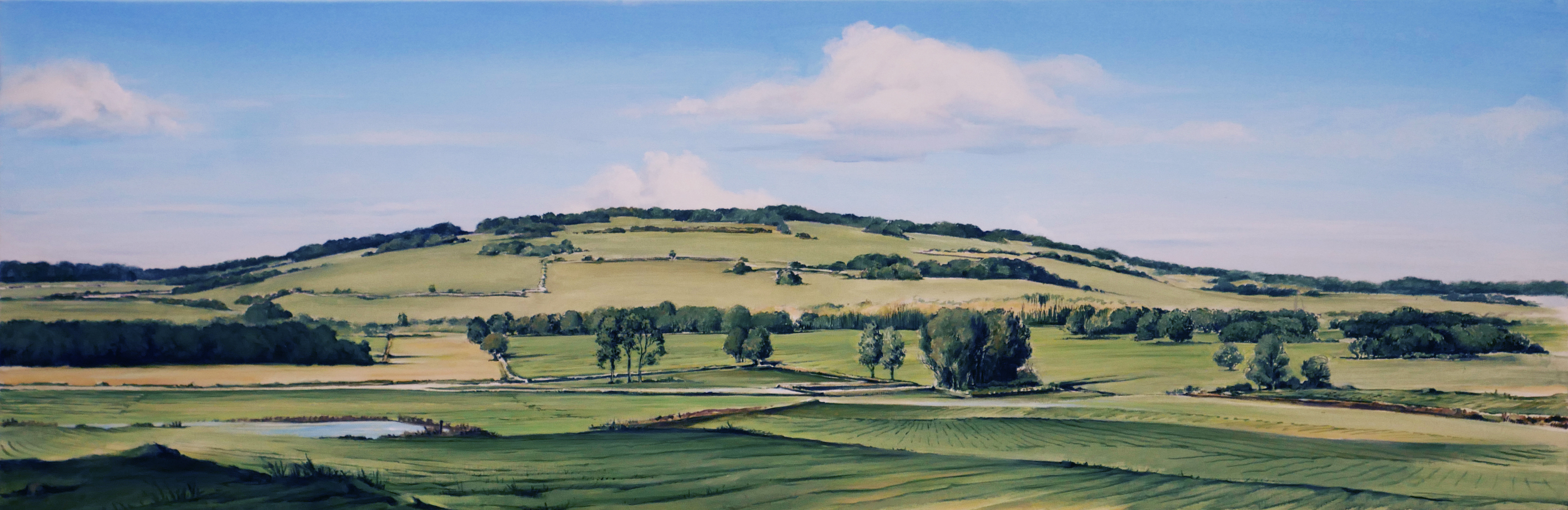 Bruno-Clognier-exposition-2023-7-beaune-paysage-moderne