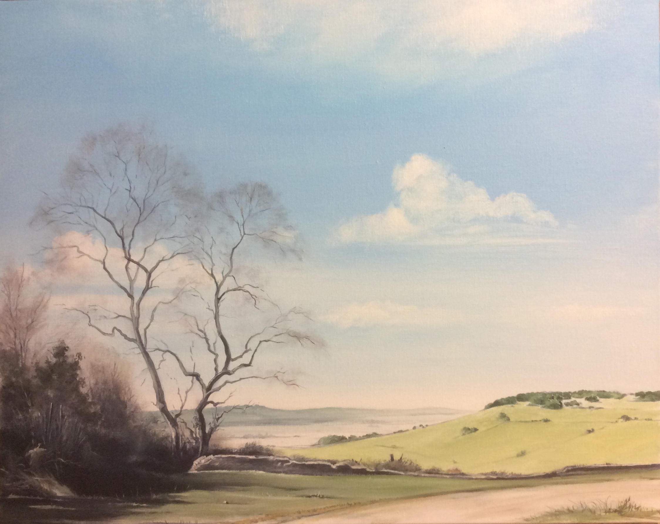 Bruno-Clognier-exposition-2024-beaune-st-etienne-paysage-contemporain