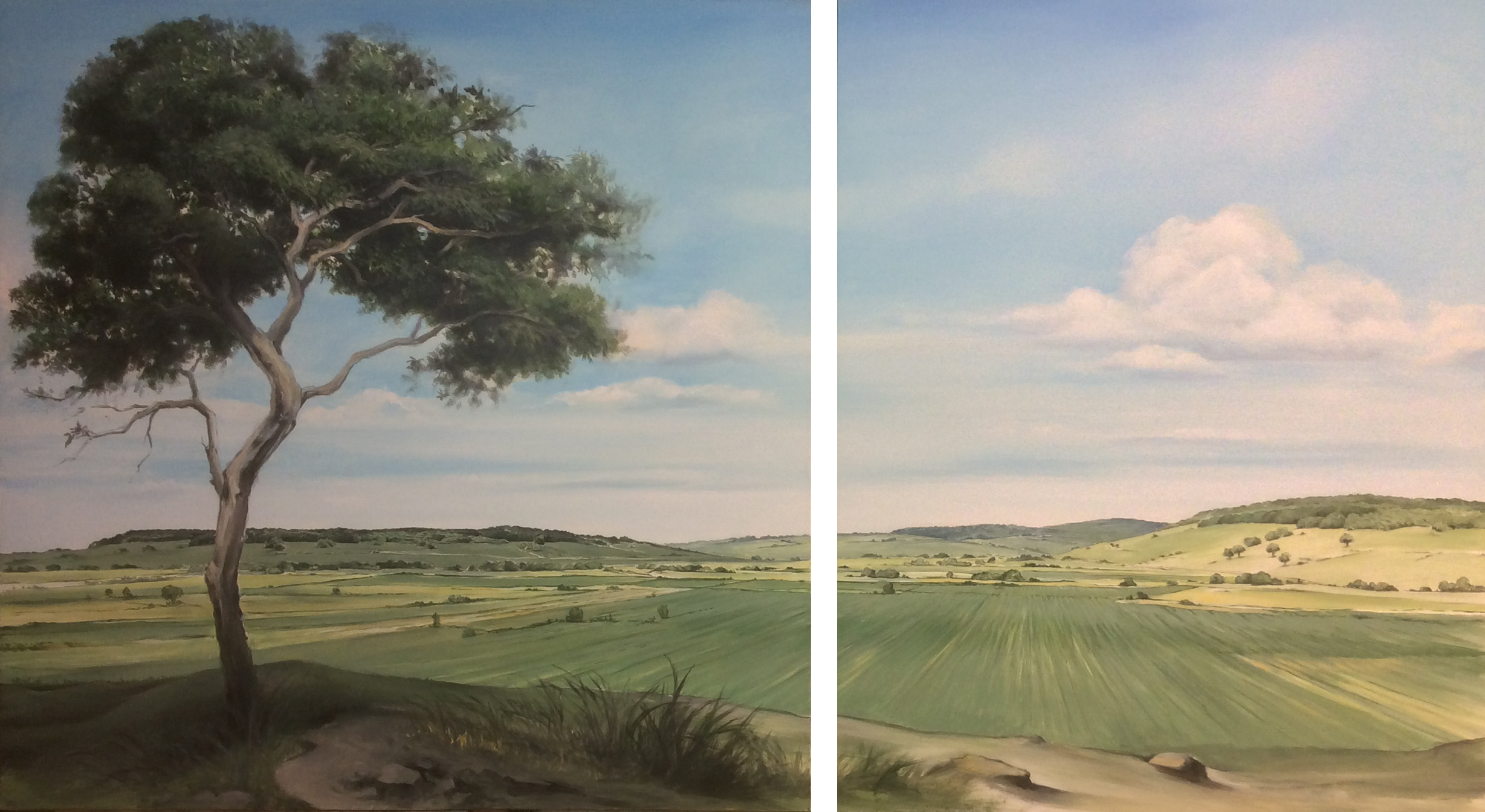 Bruno-Clognier-exposition-2024-chateauneuf-paysage-contemporain