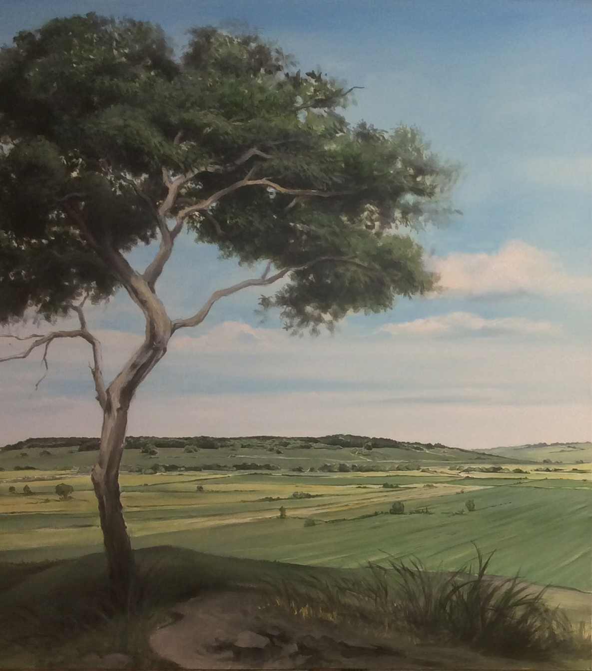 Bruno-Clognier-exposition-2024-chateauneuf-paysage-contemporain