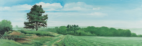 Bruno-Clognier-paysage-contemporain-038